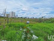 TERRENO PARA DESARROLLO HABITACIONAL EN VENTA EN SAN...
