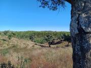 Terreno para habitação de agricultor e Turismo 20...