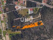 TERRENO PARA INVESTIMENTO, EM OVAR!