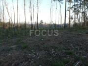 Terreno para loteamento Aveiro Nariz