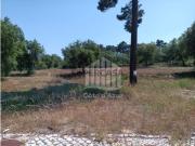 Terreno para Moradia em Banda