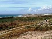 Terreno para Moradia Isolada em Aldeia a 500m da Praia