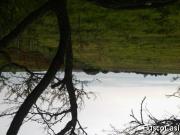 terreno para que te hagas tú casa de fin de semana