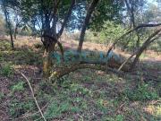 TERRENO PARA RANCHO CERCA AL LAGO