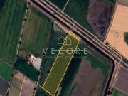 TERRENO PARA SIEMBRA EN IXTLAHUACAN DE LOS MEMBRILLOS,...