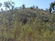 Terreno para Turismo a 20 minutos das praias da Costa...