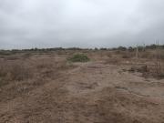 TERRENO PARA URBANIZAR EN CHINCHA