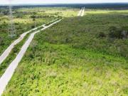 Terreno para uso industrial, logístico y comercial en...