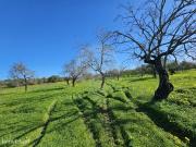 Terreno para venda