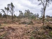 Terreno para venda