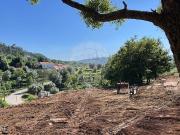 Terreno para venda