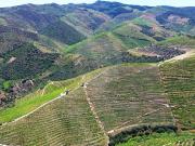 Terreno para venda
