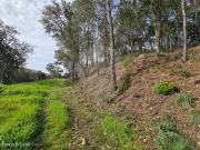 Terreno para venda