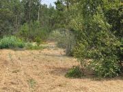 Terreno para venda