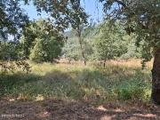 Terreno para venda