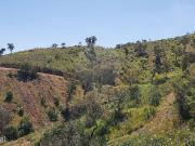 Terreno para venda