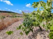 Terreno para venda