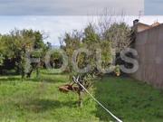 Terreno para venda Anadia