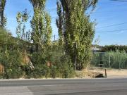 Terreno para venda com 5.030m2 em Manique, Cascais