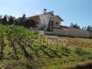 Terreno para venda em Aguada de Baixo