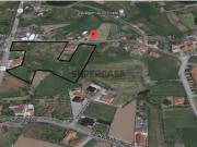 Terreno para Venda em Albergaria a Velha, Aveiro