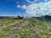 Terreno para venda em Alenquer