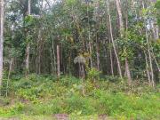 Terreno para venda em Antonina em Antonina Paraná de...