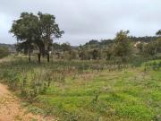 Terreno para venda em Boavista dos Pinheiros, concelho...