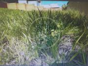 Terreno para venda em Bonfim Paulista em Ribeirão Preto...