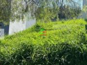 Terreno para venda em Bosque de 250.00m²
