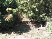 Terreno para venda em Centro em Piracicaba São Paulo de...