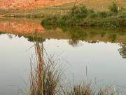 Terreno para venda em Chácaras Do Guacuri de 20000.00m²