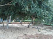 Terreno para Venda em Cláudio/MG 0 Dorm. 1000 m2 Área Útil