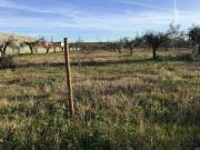 Terreno para venda em concelho de Abrantes, Santarém,...