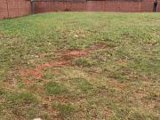 Terreno para venda em Condomínio Buona Vita em...