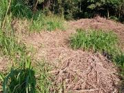 Terreno para venda em Condomínio Piemonte em Jundiaí São...