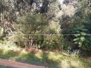 Terreno para Venda em Eldorado do Sul, Guaíba Country Club