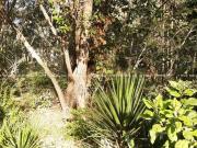Terreno para Venda em Eldorado do Sul, Guaíba Country Club