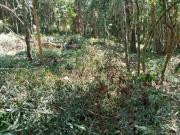 Terreno para Venda em Ibiúna, Centro