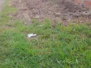 Terreno para venda em Ipanema Do Meio de 1600.00m²