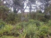 Terreno para Venda em Itanhaém, Balneário Gaivota