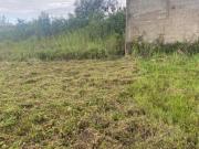 Terreno para Venda em Itanhaém, Cibratel 2