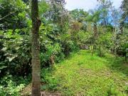 Terreno para Venda em Itanhaém, Coronel