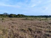 Terreno para Venda em Itanhaém, Jardim Casablanca