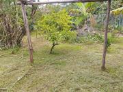 Terreno para Venda em Itanhaém, Jardim das Palmeiras