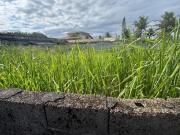 Terreno para Venda em Itanhaém, Jardim Grandesp