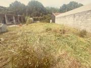 Terreno para Venda em Itanhaém, Tupy