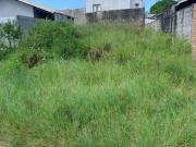 Terreno para Venda em Itariri, Estancia dos Eucaliptos