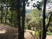 Terreno para venda em Jardim Centro Cívico em Sarandi...