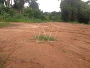 Terreno para venda e aluguel em Jardim Conceição sousas...